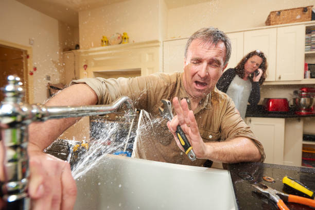 Best Water damage contractors near me  in Clewiston, FL